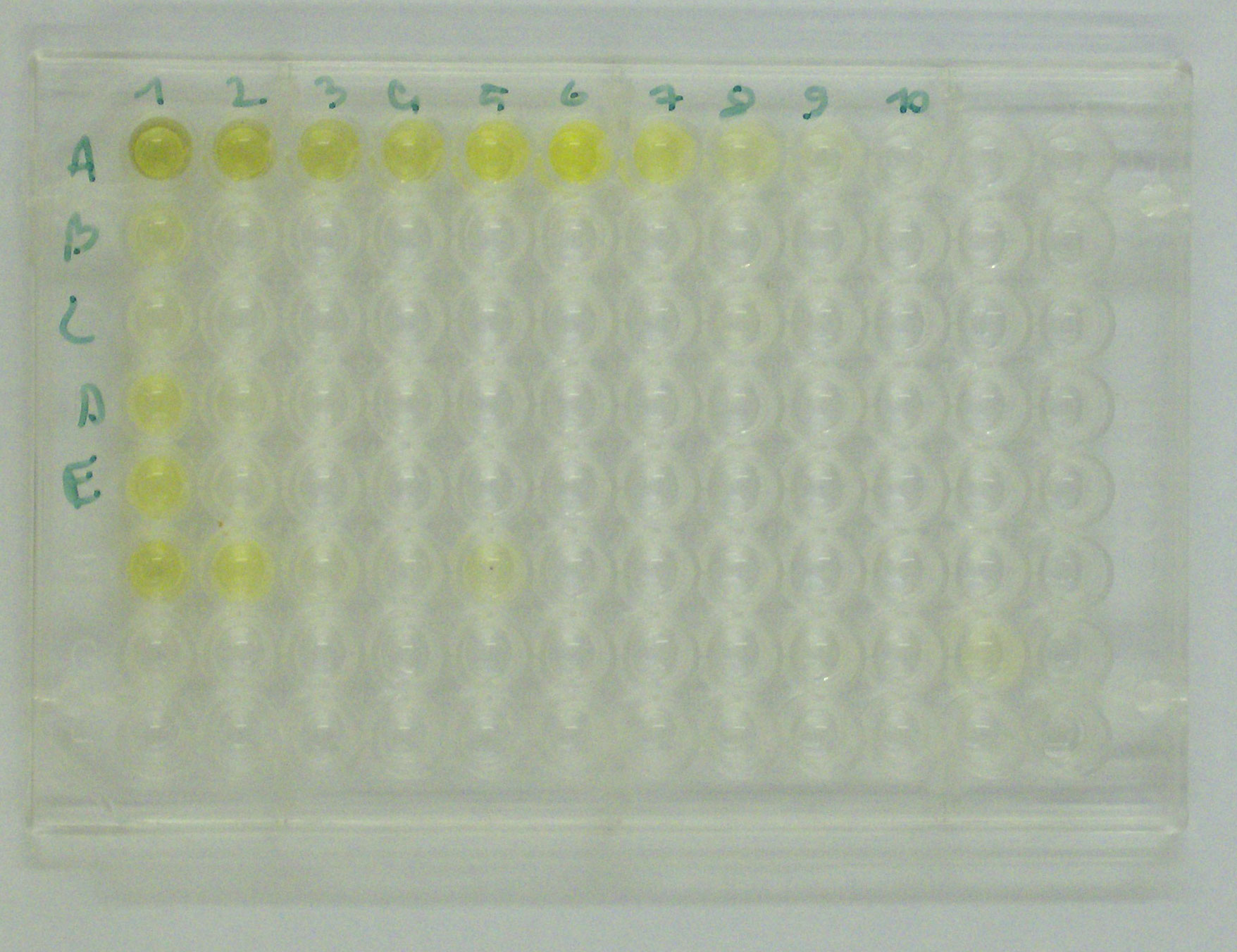 ELISA plate used for analytical measurement